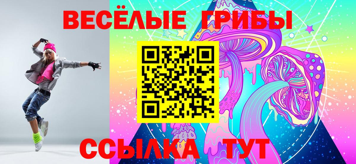 Галлюциногенные грибы GOLDEN TEACHER Хасавюрт