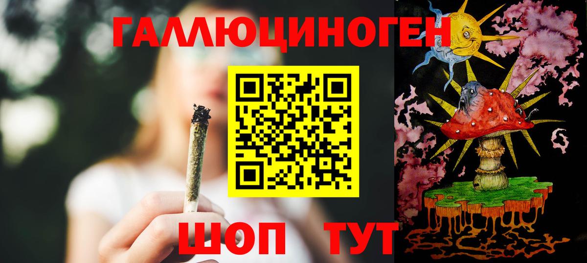 Галлюциногенные грибы GOLDEN TEACHER  Вход с VPN  Хасавюрт 